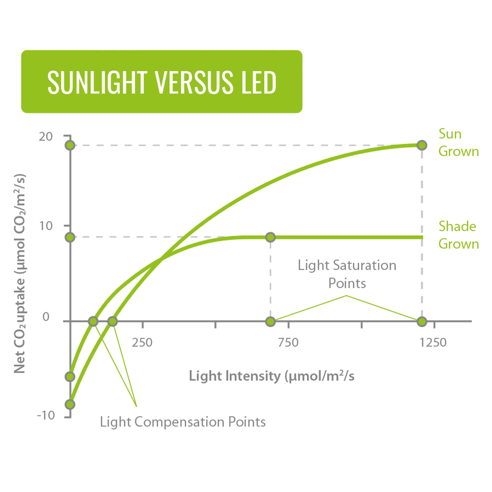 lumii black led 02